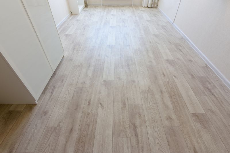 Linoleum Floor Installation in Winter Springs, FL